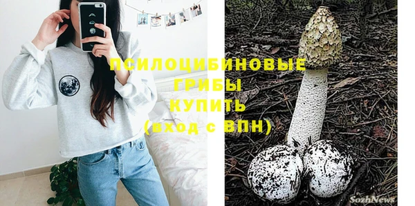 трава Аркадак