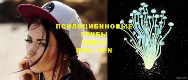 винт Армянск