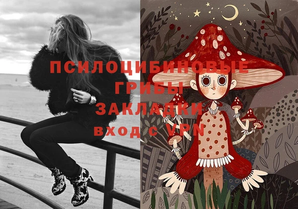 трава Аркадак