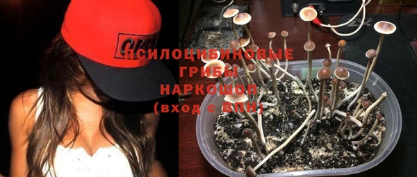 шишки Осташков