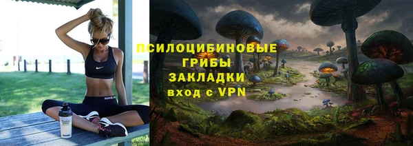 трава Аркадак